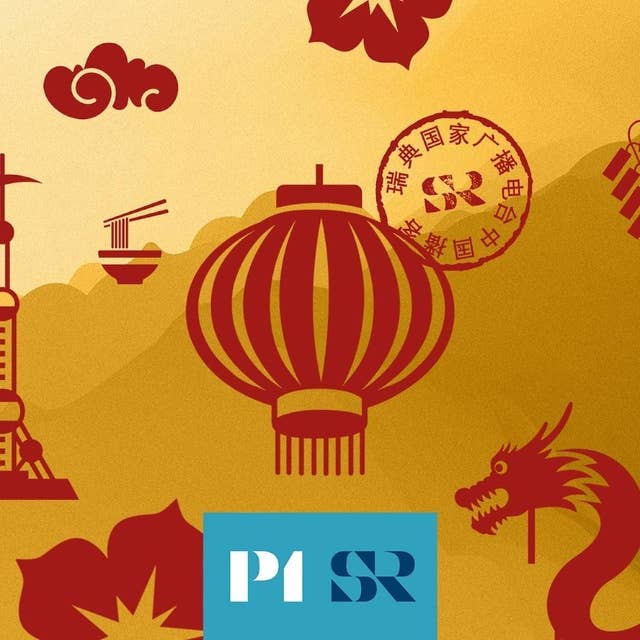Ballongen som punkterade Kinas relation till USA