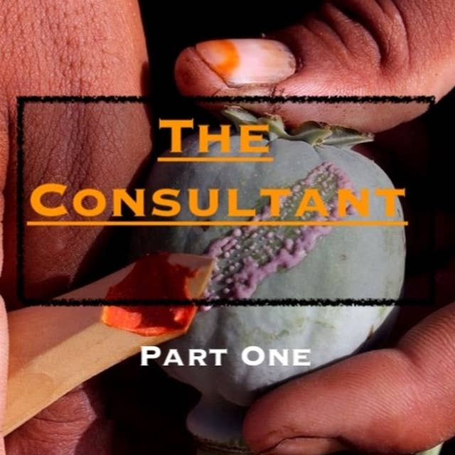 Ep43. ’The Consultant - An International Special Services Provider’ - Part 1