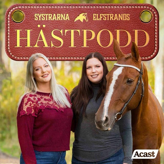 11. Få ett starkare band till din häst - med Anna Maxdotter