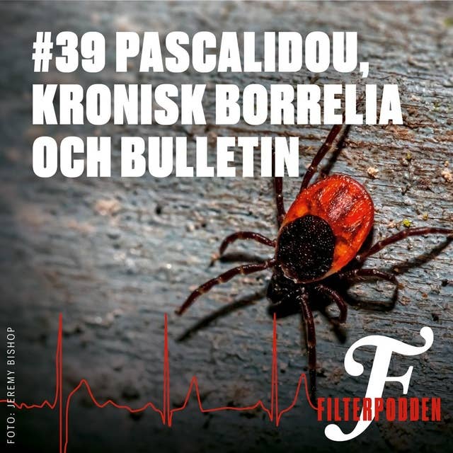 FILTERPODDEN #39: Pascalidou, kronisk borrelia och Bulletin