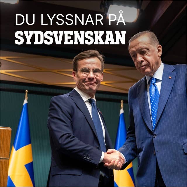 Hur långt är Sverige berett att gå i spelet om Nato?