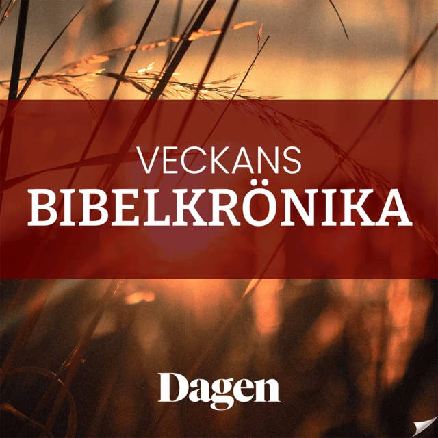 Heliga Trefaldighets dag eller missionsdagen