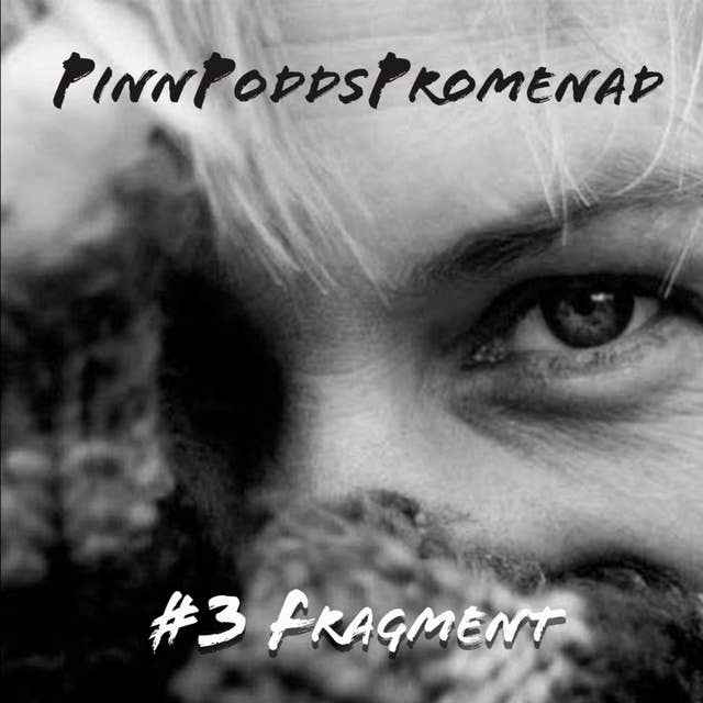 PinnPoddsPromenad #3 - Fragment