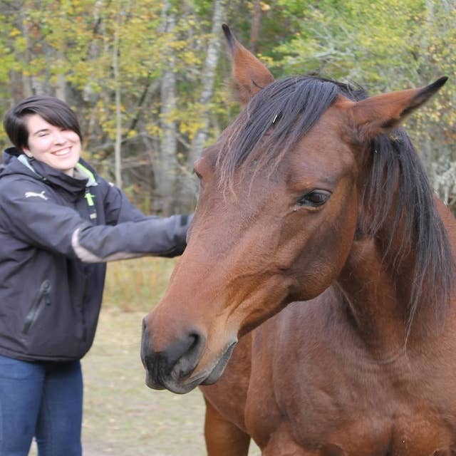 Ha häst utan prestationskrav - med Klara Forsström