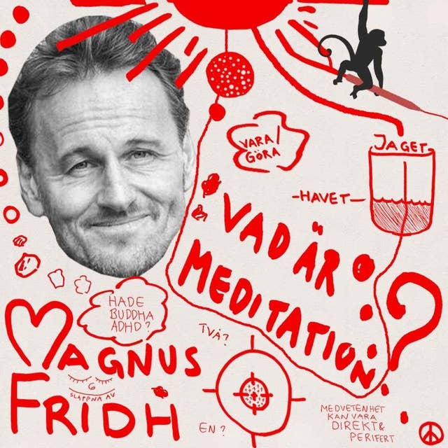 Magnus Fridh - Vad är meditation?