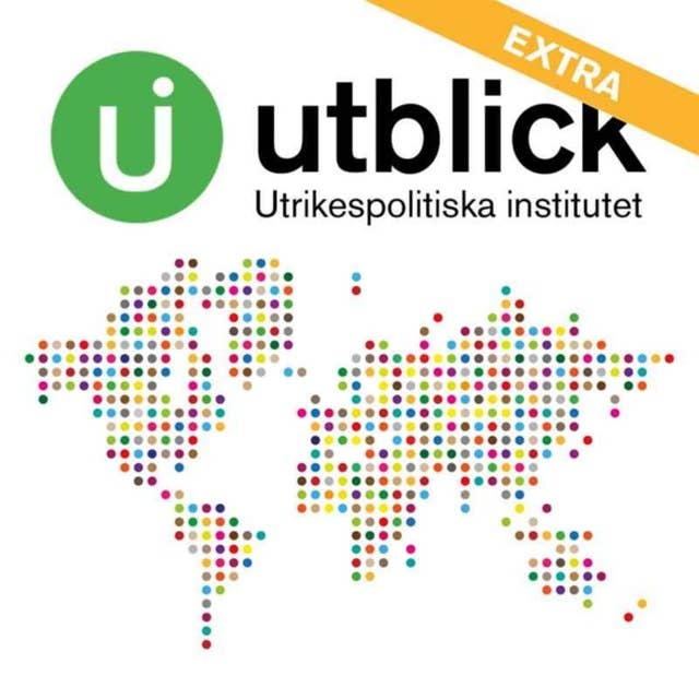 Utblick extra: Donatella Rovera at Amnesty international on the situation in Tigray