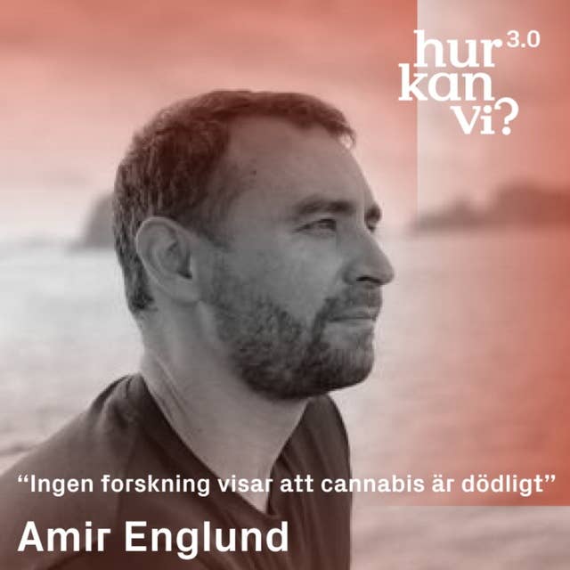 Amir Englund - Q&A