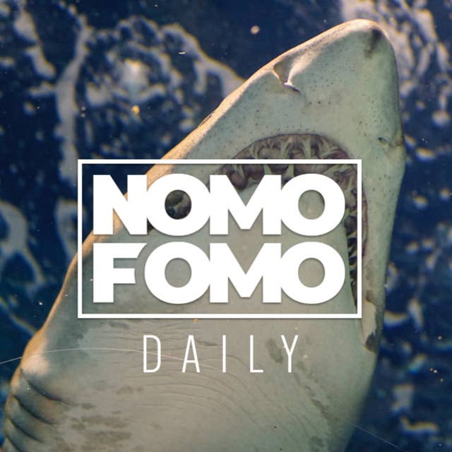 NomoFomo Daily: Vad hände med hajarna?