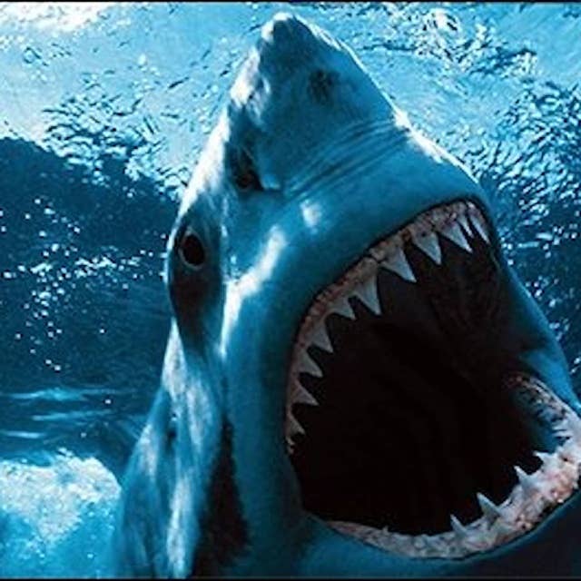 "Hajen" - filmen som för alltid gjorde hajen till havets monster
