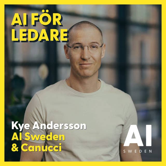 Mönster som superkraft, insikter från att arbeta med ledare och datadriven förändring - Kye Andersson, AI Sweden & Canucci