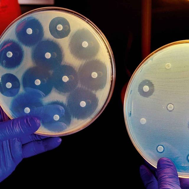 Svenska forskare överlistar bakterierna