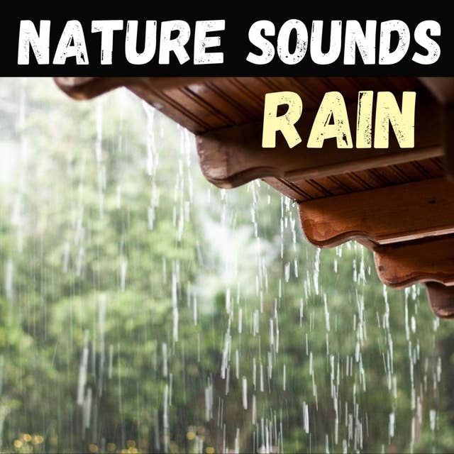 Thunderstorm Rain Ambience - 10 Hours for Sleep, Meditation, & Relaxation