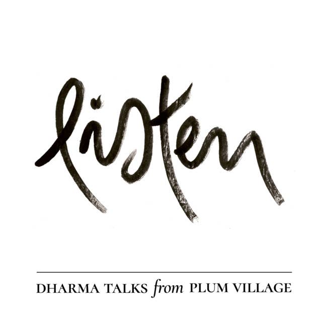 Insist, Resist, Persist | Holiday Retreat Dharma Talk — Br Pháp Hộ — Deer Park Monastery