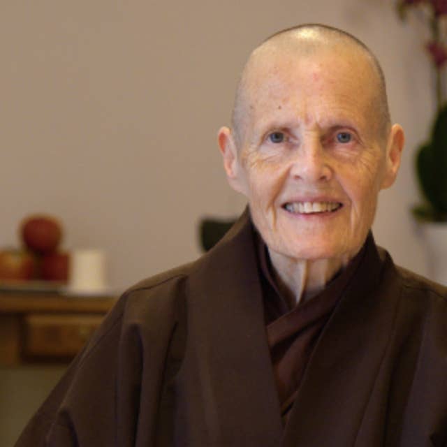 Taking Care of the Mind with Right Thinking — Sr Chân Đức — Plum Village France