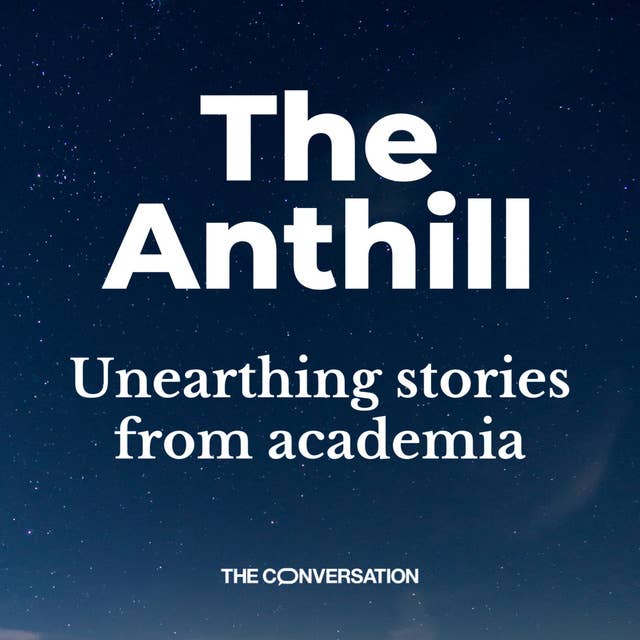 Introducing a new podcast from The Conversation UK