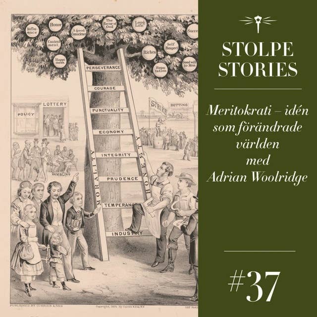 37. Meritokrati – idén som förändrade världen med Adrian Woolridge