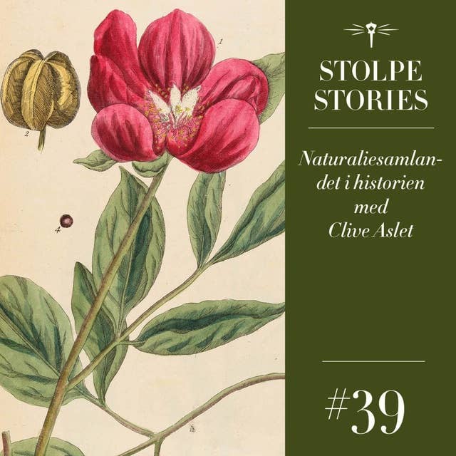 39. Naturaliesamlandet i historien med Clive Aslet