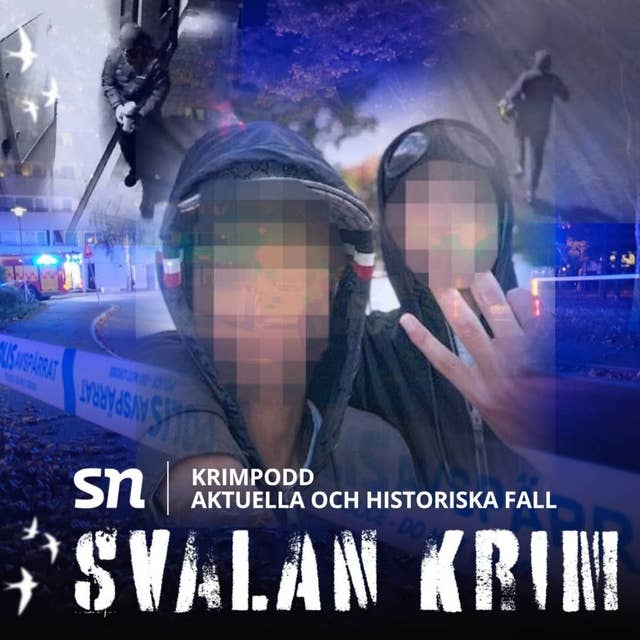 Våldsvågen i Nyköping och de unga gärningsmännen