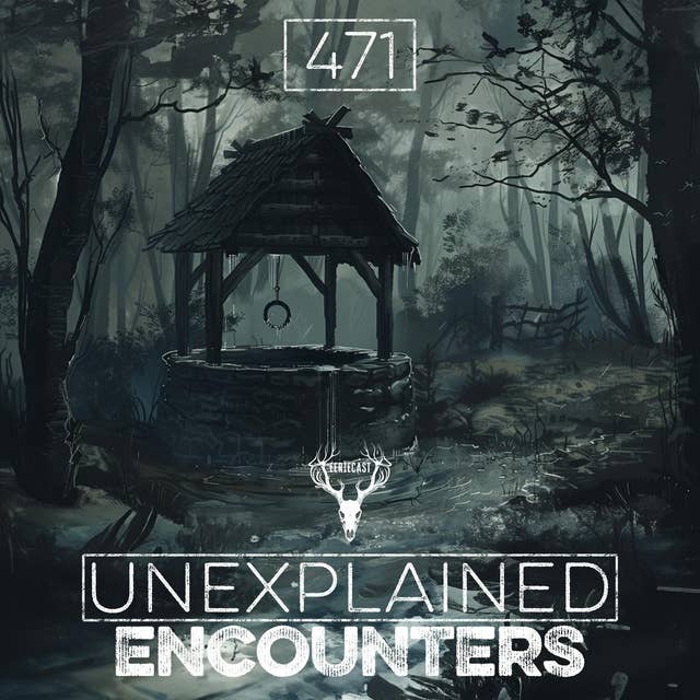 471 | DO NOT APPROACH THE WELL IN THE WOODS - 6 TRUE Scary Stories of the Unexplained