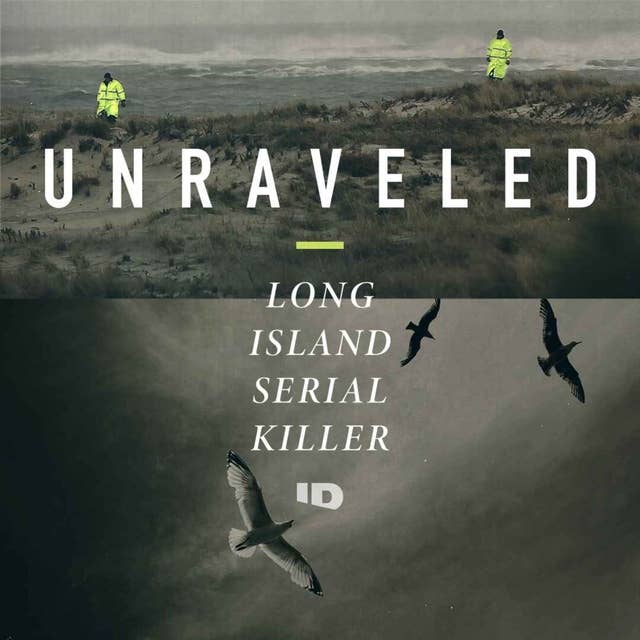 What to Listen to Next - Unraveled: The Long Island Serial Killer