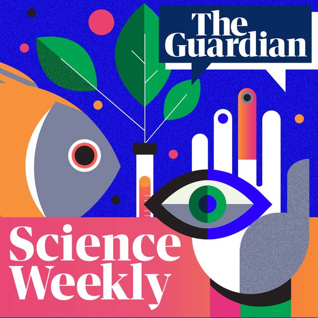 A black hole awakens and why some people avoid Covid: the week in science