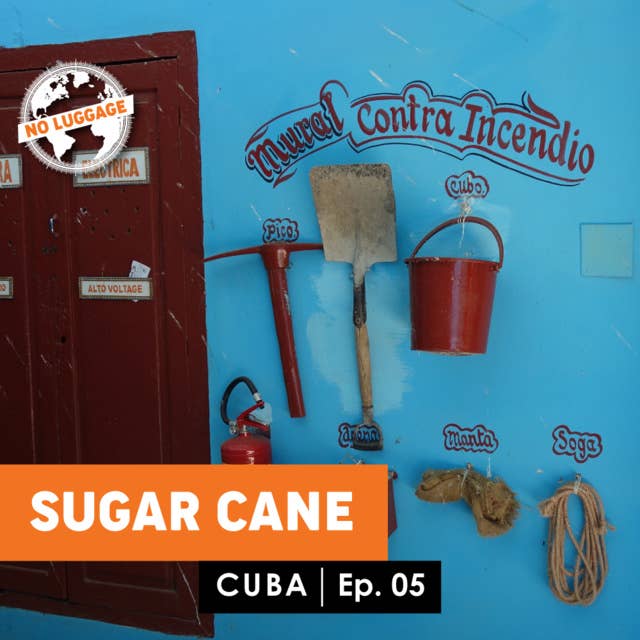 Cover for Sugar Cane