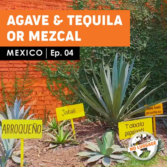 Cover for Agave and Tequila or Mezcal