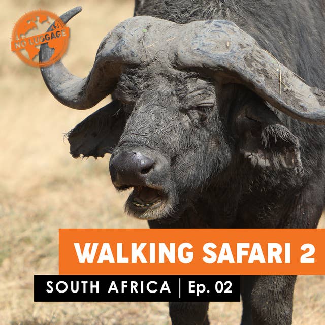 Walking Safari 2