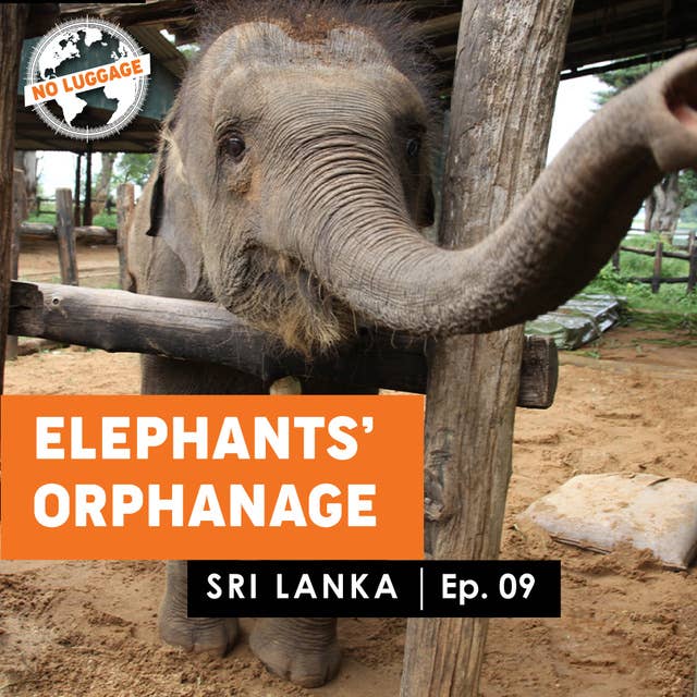 Sri Lanka – Elephants' Orphanage