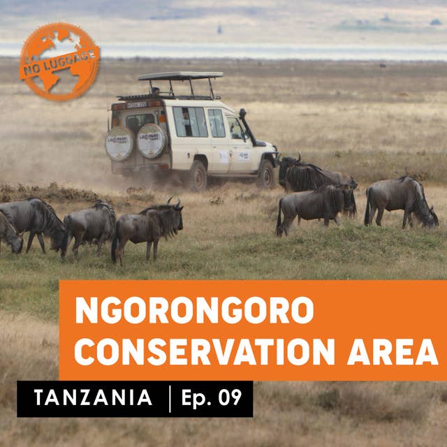 Tanzania – Ngorongoro / Conservation Area
