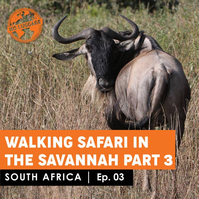 South Africa – Walking Safari in the Savannah Part 3