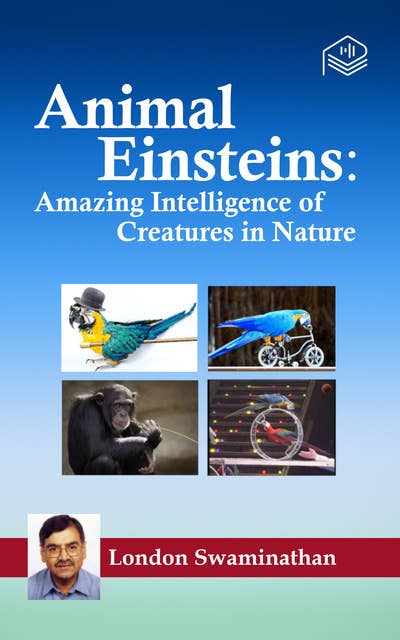 Animal Einsteins: Amazing Intelligence of Creatures in Nature
