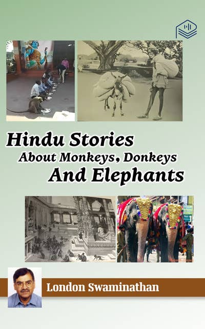 Hindu Stories About Monkeys, Donkeys And Elephants