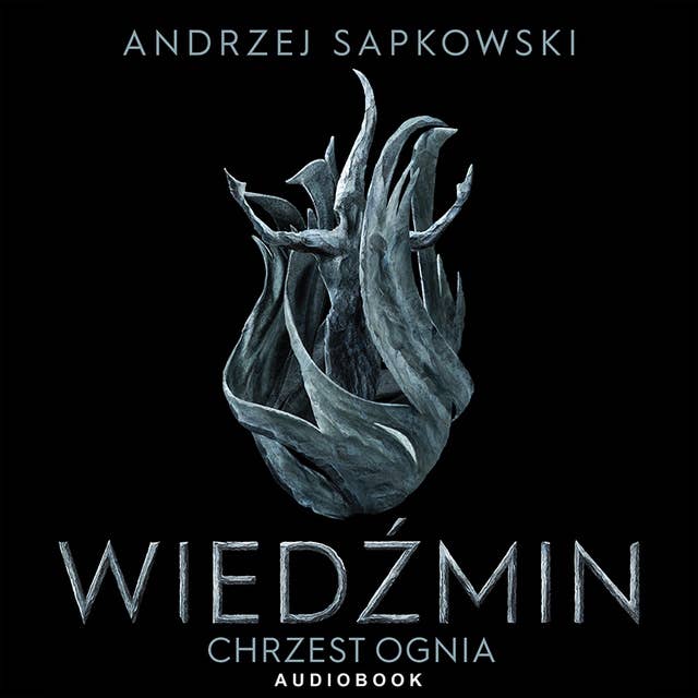 Chrzest ognia by Andrzej Sapkowski