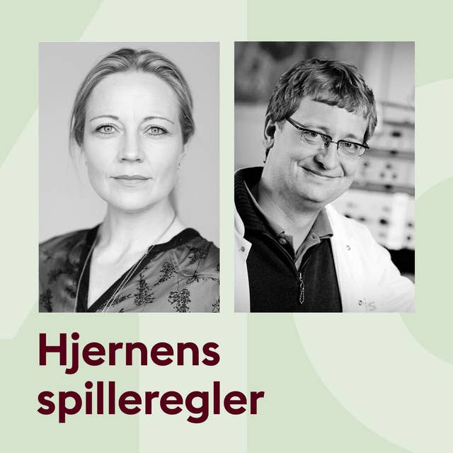 Hjernens spilleregler med Anette Prehn og Troels W. Kjær