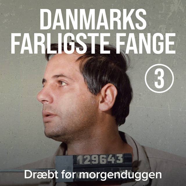 Danmarks farligste fange 3: Dræbt før morgenduggen