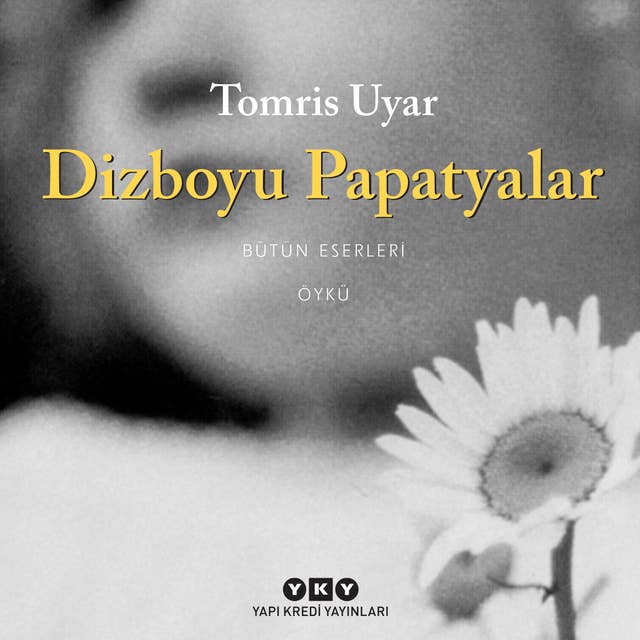 Cover for Dizboyu Papatyalar