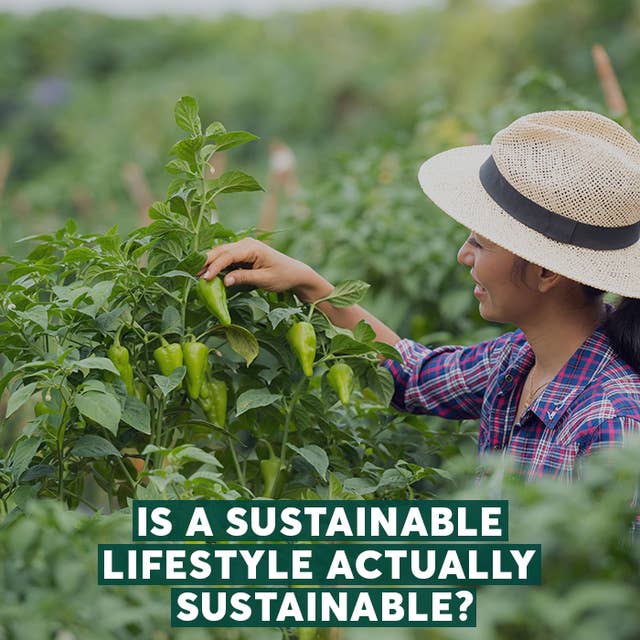 Is a Sustainable Lifestyle Actually Sustainable?