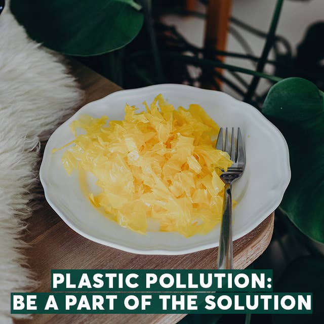 Plastic Pollution: Be a Part of the Solution