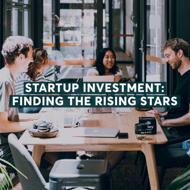 Startup Investment: Finding the Rising Stars