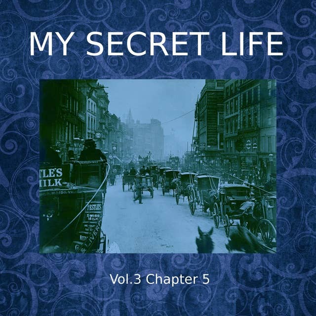 My Secret Life, Vol. 3 Chapter 5