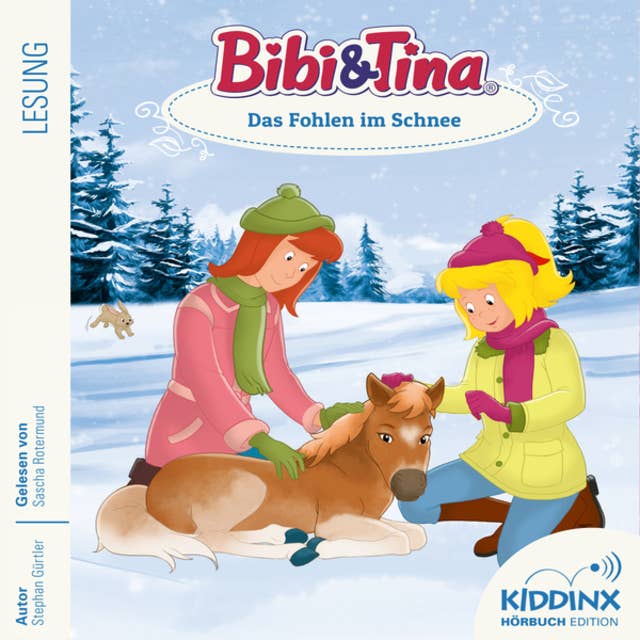 Bibi & Tina - Hörbuch: Das Fohlen im Schnee