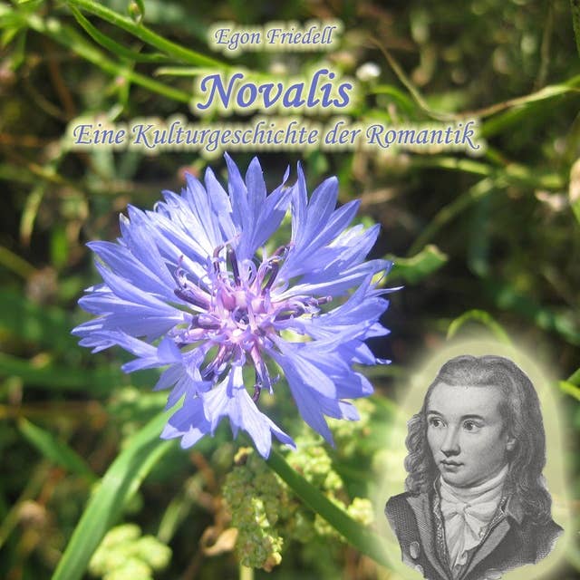 Novalis: Eine Kulturgeschichte der Romantik