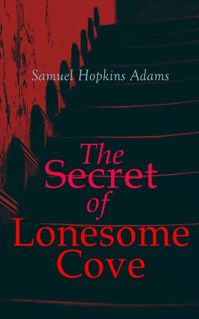 The Secret Of Lonesome Cove: Murder Mystery Novel