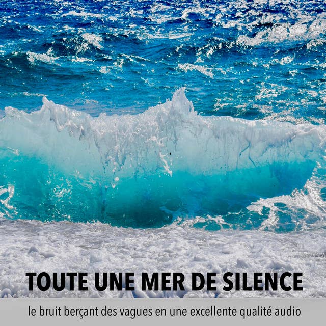 une mer de tranquillité, un océan de calme, toute une mer de silence: le bruit apaisant des vagues dans une excellente qualité audio