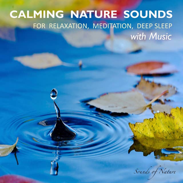 Calming Nature Sounds for Relaxation, Meditation, Deep Sleep with Music: Stress Relief, Soothing New Age Sounds, Music to Calm Down, Singing Birds, Ocean Waves, Forest Sounds, Relaxing Rain, Music for Healing