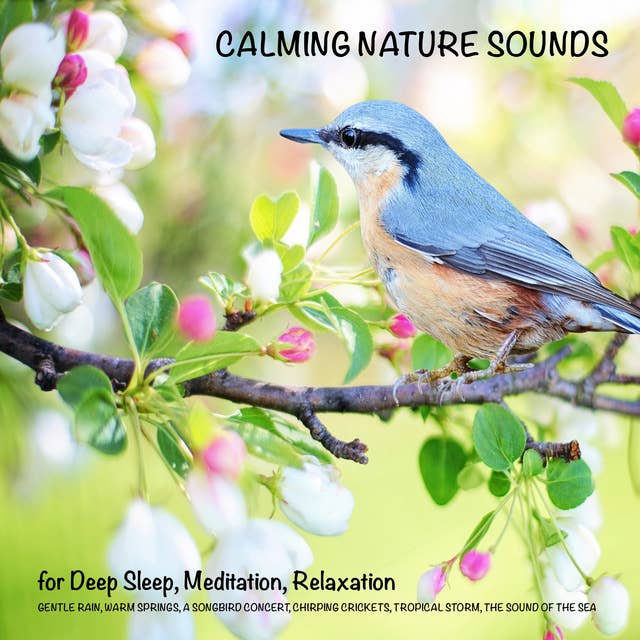 Calming Nature Sounds: Gentle rain, warm springs, chirping crickets, a songbird concert, the sounds of the sea, tropical storm