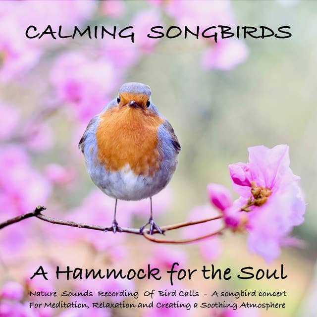 Calming Nature Sounds for Relaxation, Meditation, Deep Sleep with Music:  Stress Relief, Soothing New Age Sounds, Music to Calm Down, Singing Birds,  Ocean Waves, Forest Sounds, Relaxing Rain, Music for Healing 