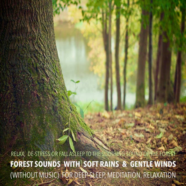 Forest Sounds with Soft Rains & Gentle Winds for Deep Sleep, Meditation, Relaxation: Relax, De-stress Or Fall Asleep To The Soothing Sounds Of Nature