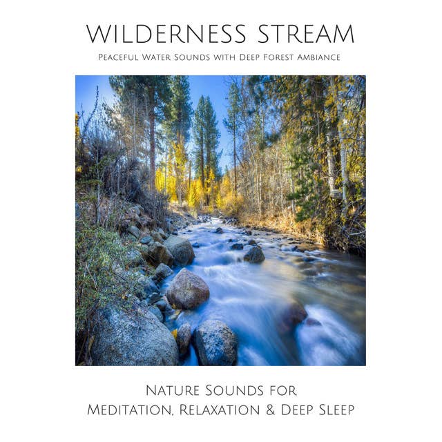 Wilderness Stream - Peaceful Water Sounds with Deep Forest Ambience: Nature Sounds for Meditation, Relaxation & Deep Sleep